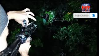 NIGHT BIRD HUNTING USING PVC AIR GUN PANULO OG LANGGAM EP 6-1