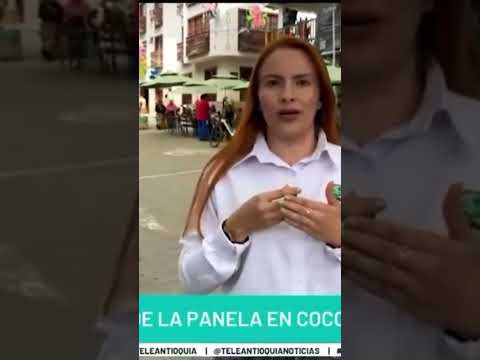 Fiestas en Cocorna, Antioquia de la Panela del 9 al 12 de enero 2026