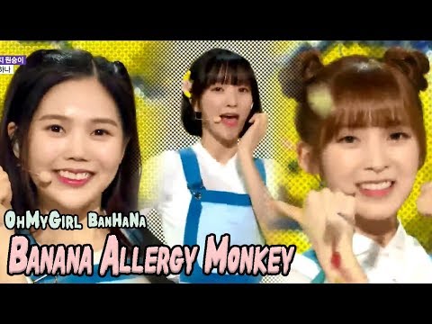[HOT] OH MY GIRL BANHANA - Banana allergy monkey, 오마이걸 반하나 - 바나나 알러지 원숭이 Show Music core 20180407