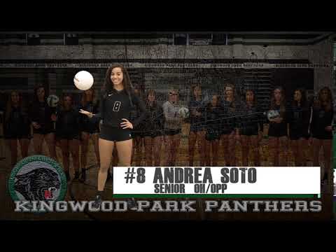 Kingwood Park Volleyball #3