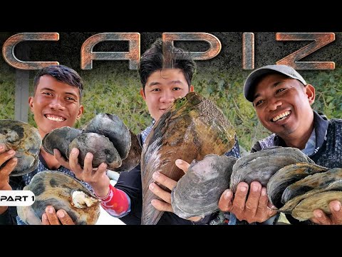 P1-SINAMPALUKANG CAPIZ -EP1195