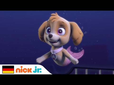 PAW Patrol | Meerfellfreunde als Helfer der PAW Patrol | Nick Jr. Deutschland