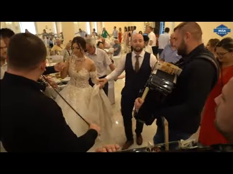 Orkestar Mladena Spasojevica``PANTERI`` - Splet kola za vesele mladence (live)Pozarevac 2022