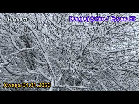 #dengbêjşakiro  / Eyşana Eli