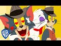 Tom And Jerry Tom In Love WB Kids