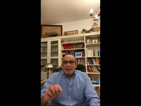 لايف العربي زيتوت