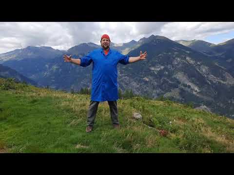 On the alpine pasture