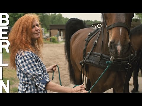 Ein Leben mit Pferden in der Ruppiner Heide, dem ehemaligen Truppenübungsplatz Wittstock