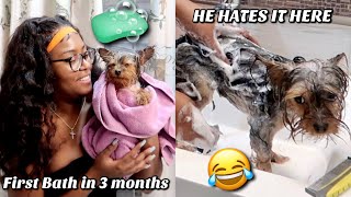 Giving my son his first bath in 3 months *he hates It here* 😂 | Miya Sadé