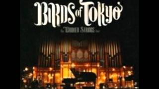 Birds Of Tokyo - Murmurs