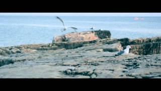 Starfucker // STRFKR - Golden Light (Music video)