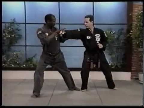 Kenpo Karate Ed Parker American Kenpo Sophisticated Basics Vol 1