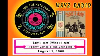 Tommy James &amp; The Shondells - Say I Am - 1966