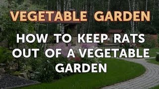 How to Keep Rats Out of a Vegetable Garden