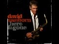 David sanborn - What Will I Tell My Heart?