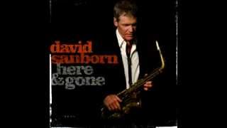 David sanborn - What Will I Tell My Heart?