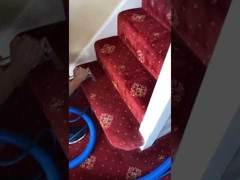 Carpino Carpet Cleaners video.