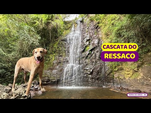 😱 É por DENTRO do BANANAL até a Cascata do Ressaco | Terra de Areia