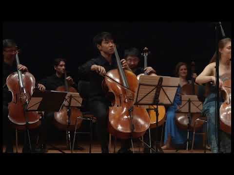 Hommage á Maria Kliegel -  24. Gerald Martin - Good Night Boogie