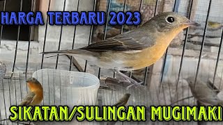 Download lagu harga terbaru burung sikatan/sulingan mugimaki.lengkap dari loloh sampai prestasi mp3