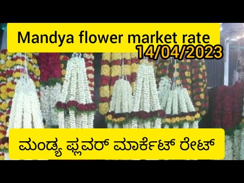 mandya flower market rate today/mandya/market/ಮಂಡ್ಯ ಪ್ಲವರ್ ಮಾರ್ಕೆಟ್ ರೇಟ್/14/04/2023