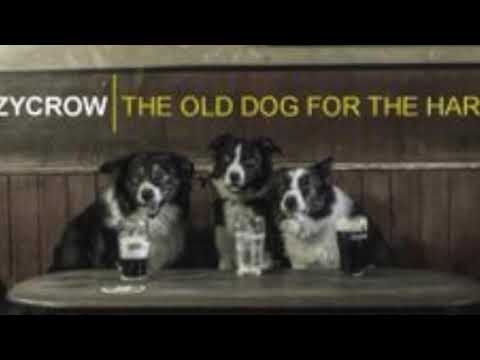 CRAZYCROW The Old Dog For The Hard Road