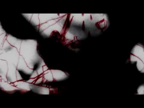 MARNOST - Lidé si kupují pečené kaštany