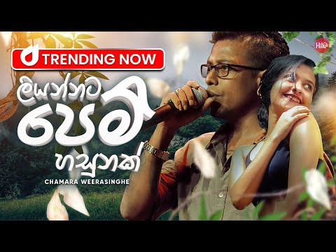 Liyannata Pem Hasunak(ලියන්නට පෙම් හසුනක්) | Chamara Weerasinghe | Hitma Music Official Lyrics Video