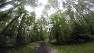 Island 22 Alice MacKay & Celtic Charm