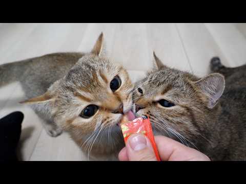 YouTube 썸네일