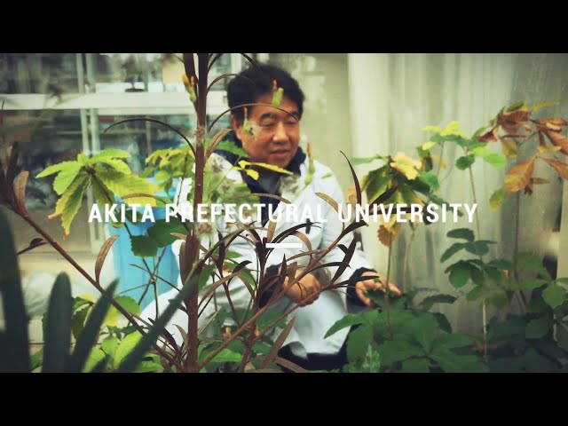 秋田県立大学 生物生産科学科