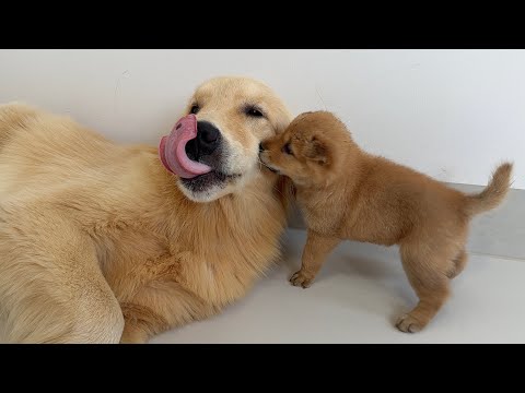 YouTube 썸네일