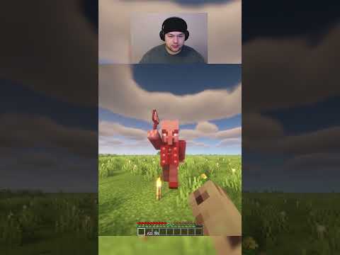 Killing an vindicator unarmed in minecraft day 66 #shorts #viralshorts