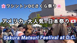 【海外で日本の屋台‼️】　ワシントンD.C.桜祭り散策