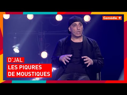 D'jal - Les piqûres d'insectes - Comédie+