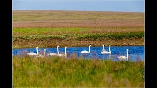 Рыбалка на веселовском водохранилище есть в ростовской области