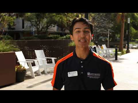 Csuf Homepage