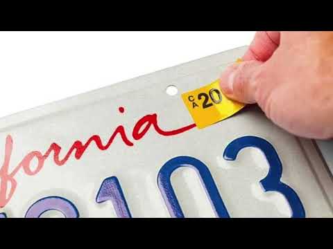 Dmv Services At Luna Live Scan