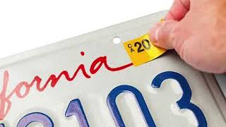 DMV Services at Luna Live Scan