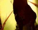 CAN U FEEL  BY COLA-MAN FT.ELVIS ZUMA