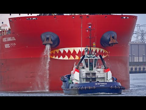 13 BIG SHIPS AT THE PORT OF ROTTERDAM NETHERLANDS - 4K SHIPSPOTTING JUNE 2024