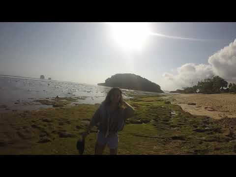 Video clip (Dewy Kumalasari 201610040311231) #DASAREDITING2017