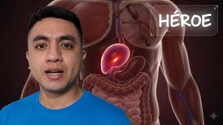 Tu bazo: ¿un órgano OLVIDADO o tu HÉROE de supervivencia oculto?