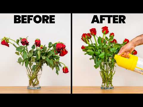 This One Trick Keeps Cut Flowers Fresh for Weeks
