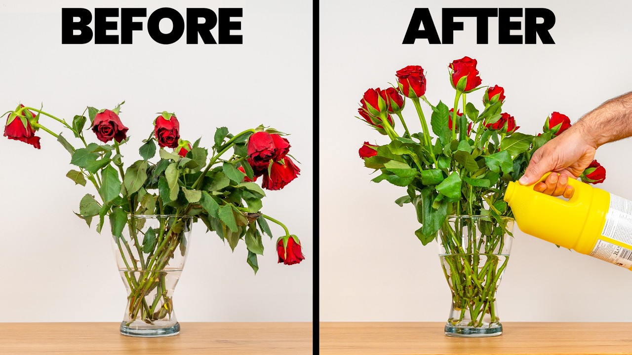 This One Trick Keeps Cut Flowers Fresh for Weeks