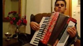 Ensiferum - Victory Song Accordion - Acoustic cover