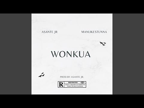 Wonkua (feat. ManLikeStunna)