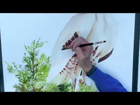 Painting a Red-Tailed Hawk with Watercolors