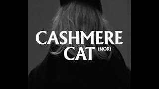 Love Incredible CASHMERE CAT lyrics