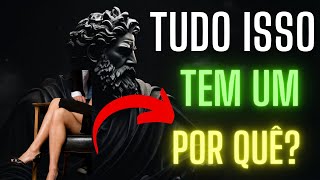Estoico - Descubra Por Que Ninguém Entra na Sua Vida Por Acaso: Lições do Estoicismo